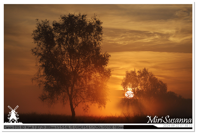 Ginkelse Heide IMG_0906@MiriSusanna CC-BY-NC-ND Ginkelse Heide IMG_0906