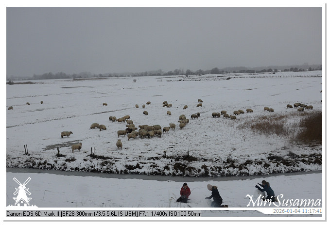 Snow IMG_5274@MiriSusanna CC-BY-NC-ND Snow IMG_5274