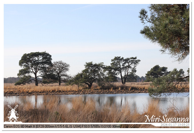 Strabrechtse Heide IMG_5585@MiriSusanna CC-BY-NC-ND Strabrechtse Heide IMG_5585