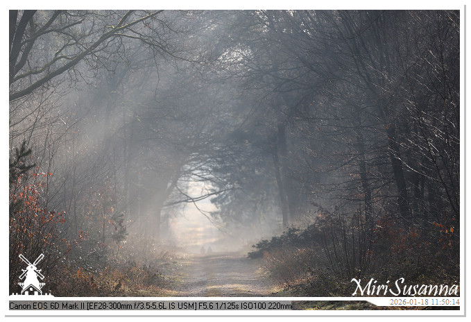 Amerongse Berg IMG_5669@MiriSusanna CC-BY-NC-ND Amerongse Berg IMG_5669